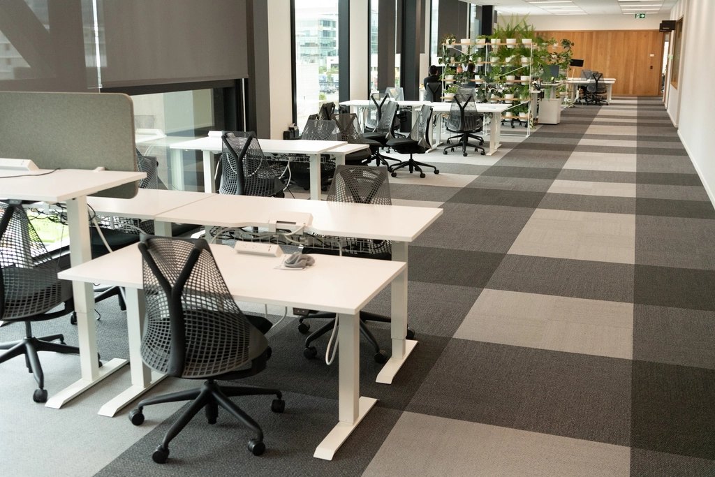 Modern office, green workplace